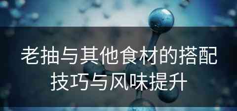 老抽与其他食材的搭配技巧与风味提升